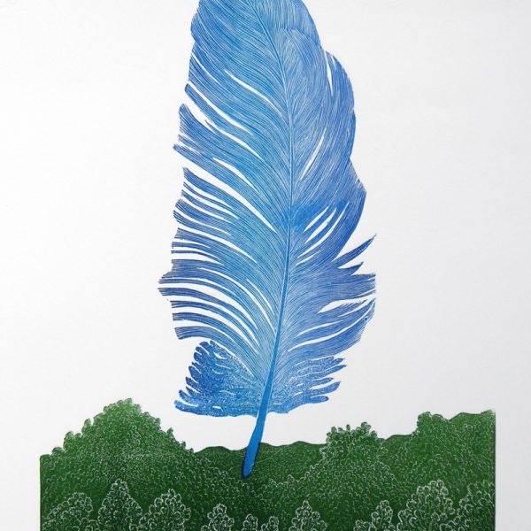 Print of large blue feather by Allan Gale