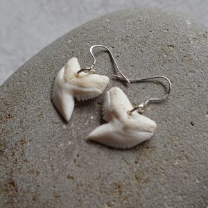 Sharktooth earrings