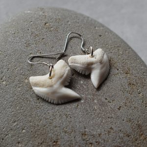 Sharktooth earrings