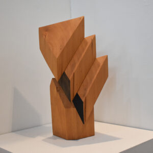 NZ Kauri, 'Haere Akenei' By Pete Radley