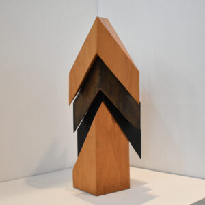 NZ Kauri, 'Haere Akenei' By Pete Radley