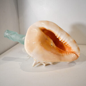Glass Pumoana By Mike Cameron