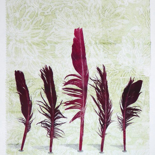 Print of five red feathers by Sheyne Tuffery